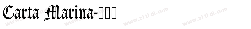 Carta Marina字体转换